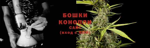 ГАЛЛЮЦИНОГЕННЫЕ ГРИБЫ Липки