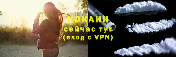 ГАЛЛЮЦИНОГЕННЫЕ ГРИБЫ Липки