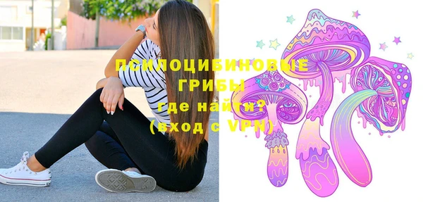 ГАЛЛЮЦИНОГЕННЫЕ ГРИБЫ Липки