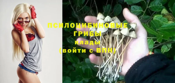 дмт Лихославль