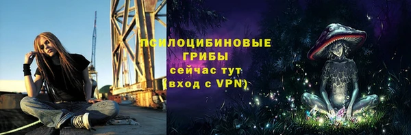 дмт Лихославль