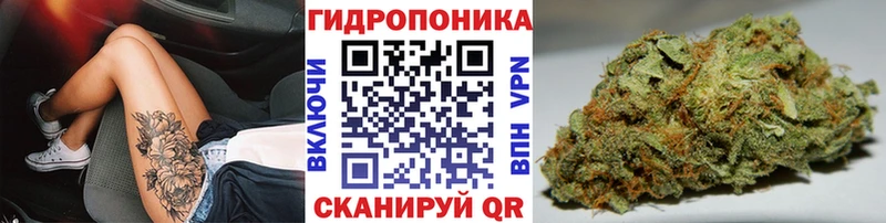 Бошки Шишки планчик  Купить где  Шагонар 
